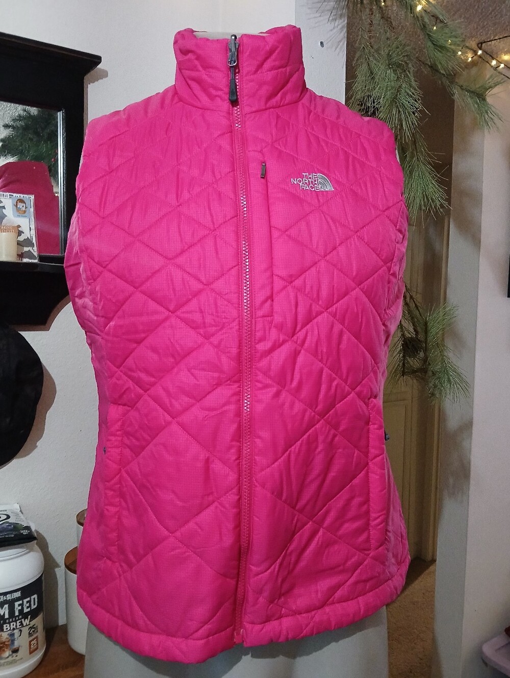 North Face Vest